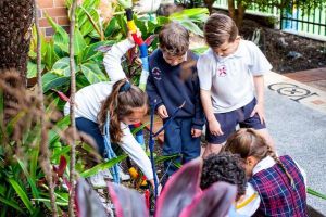 St Andrews Catholic Primary School Malabar - students looking through the school garden